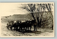 12101842 - Bauernwagen mit Ochsen - Privatfoto AK Tiergespann