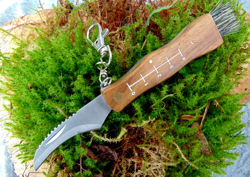 Pilzmesser schwammerl messer - pilzmesser,,