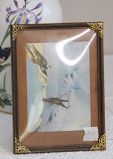 22,5 x 16,5 Prächtiger