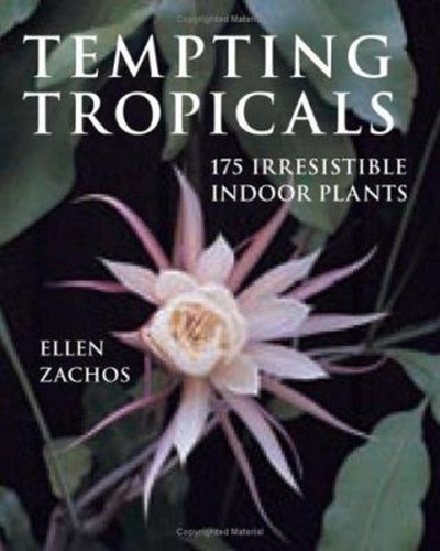 Tempting tropicals 175 - tempting, :