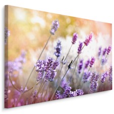 CANVAS Leinwand Bilder XXL