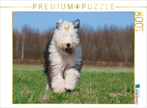 Calvendo puzzle rennender - puzzle,
