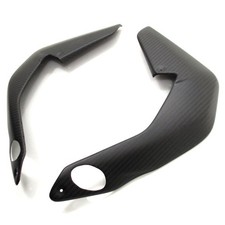 Carbon Kühlerschutz für MV