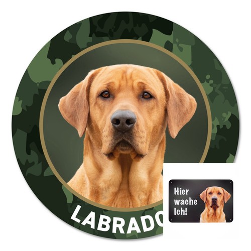 Labrador autoaufkleber - labrador,