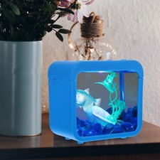  Kleines Aquarium Fische