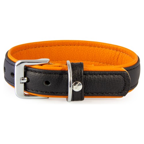 Das lederband hunde halsband - das,