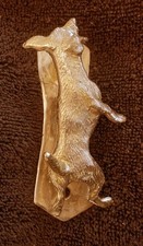 JACK RUSSELL TERRIER, rough