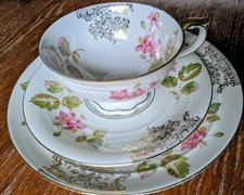 Porzellan Sammeltasse Gedeck Johann Seltmann Vohenstrauss