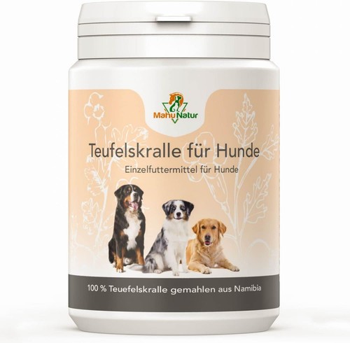 Afrikanische teufelskralle - afrikanische,