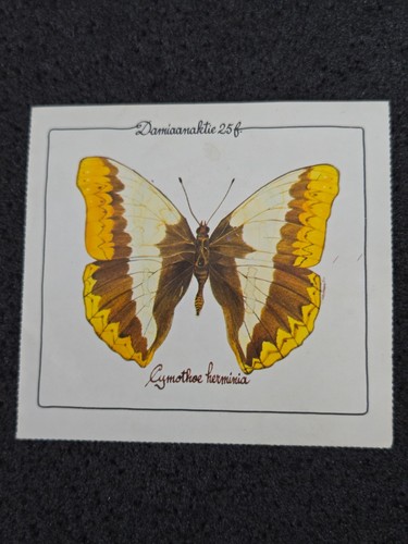 Butterfly schmetterling - /, ➔