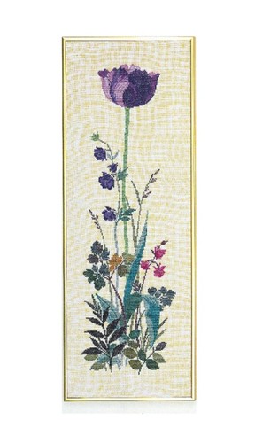 Eva rosenstand tulpe - rosenstand,