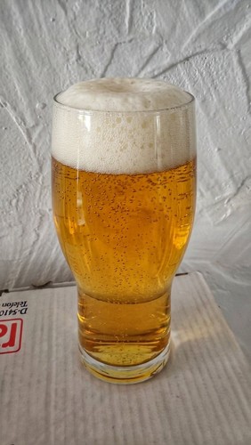 Biergläser - 60, (tulpen)