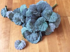 Blätterzweig, Dekozweig Weinlaub, Efeu 65 cm, dunkelgrün