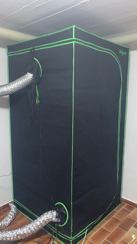 Growbox komplettset led - growbox,