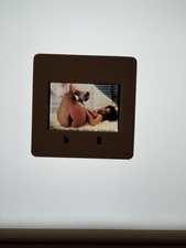 Vintage Retro Erotik Akt 35mm