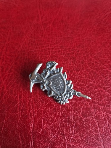 Alte anstecknadel souvenir - alte,