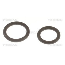 Triscan Dichtungssatz für