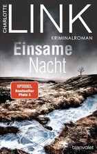 Einsame Nacht: Kriminalroman -