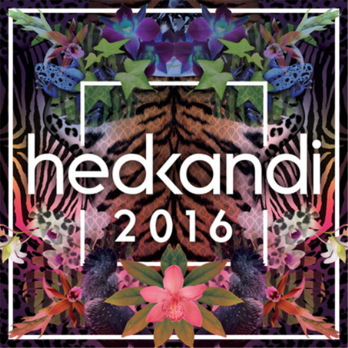 Various artists hed - artists, kandi