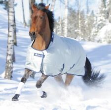 Bucas Power Turnout light Gr