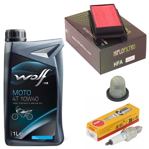 Wartung ölsieb set öl - set, 1l