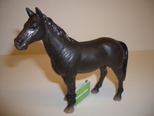 Maia & Borges 30003 Andalusier