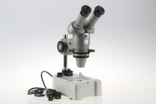 ZEISS IKON Stereo Mikroskop