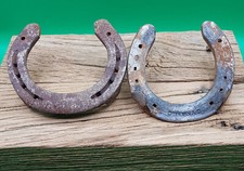 ☘️1 echtes Hufeisen als