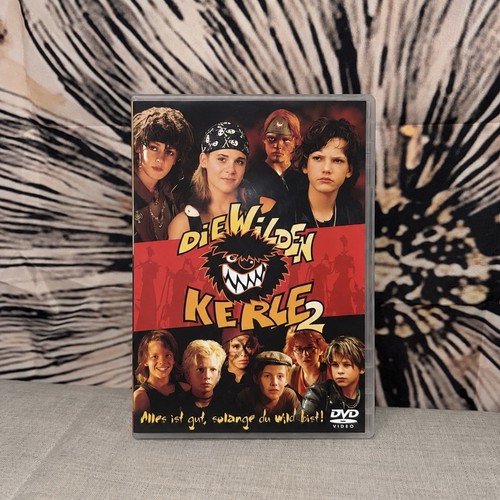 Die wilden kerle dvd - die,