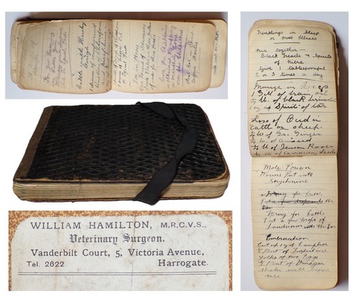 Antique 1898 1956 - antique, veterinary