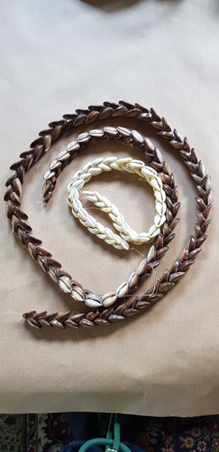 Perlen strang muscheln - strang,