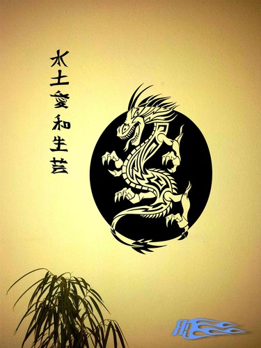 Wandtattoo drache oracal - wandtattoo, 2