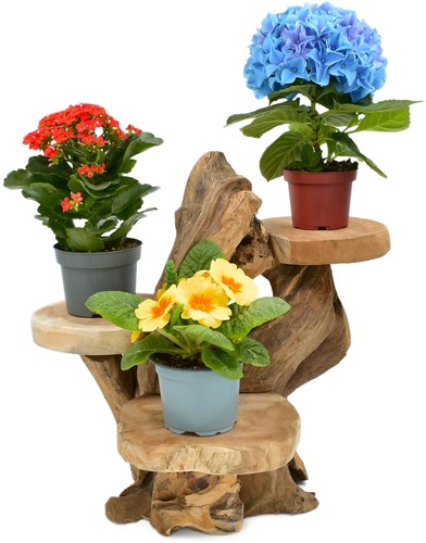 Teak blumenständer - teak,