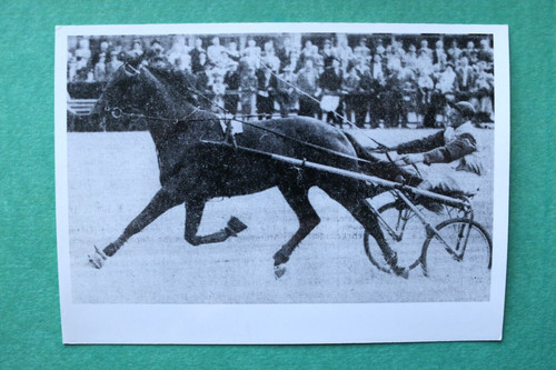 Epm foto pferderennen 1952 - epm),