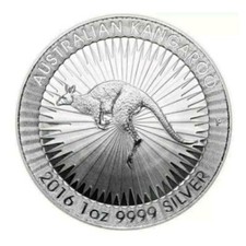 Känguru Kangaroo 2016 