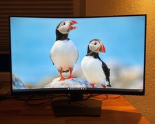Dell S3220DGF 31,5-Zoll Curved Gaming Monitor WQHD 2560x1440 165Hz HDMI DP USB
