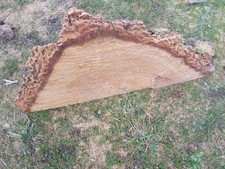 Dekoholz, NATUR, Rinde