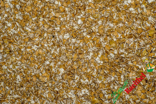 Futterweizen gequetscht