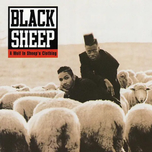 Black sheep wolf - sheep, sheeps