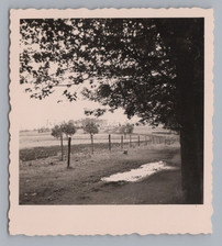 Braunlage Hohegeiß -