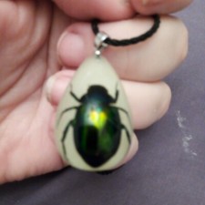 Grün schillernder Skarabäus