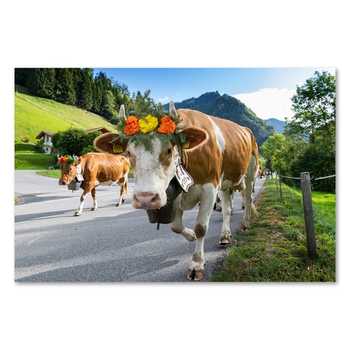 Postereck 3849 poster leinwand - 3849,