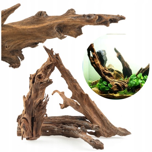 Aquarium wurzeln für akvarien - wurzeln,