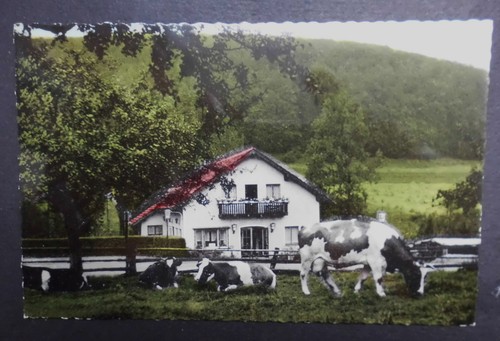 Höxter bruchhausen - höxter,
