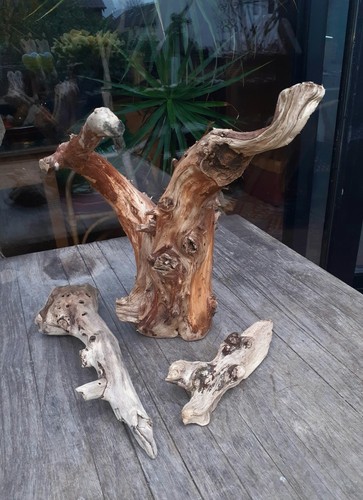 Treibholz schwemmholz - 3,