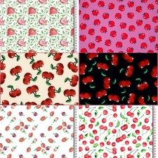 Obst Kirsche Erdbeere Himbeere