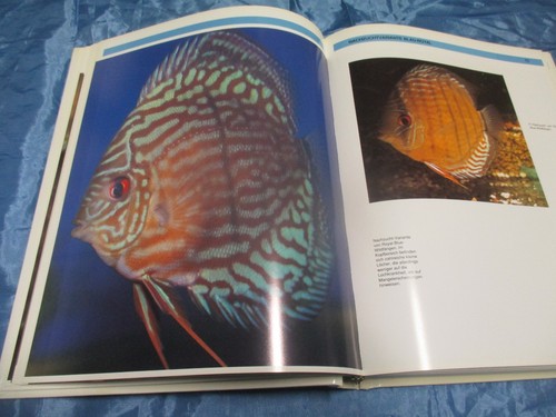 Diskus atlas diskusfische - atlas,