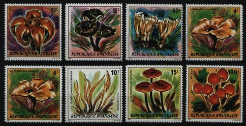 Ruanda 1980 1051 1058 - 1980, 1051-1058