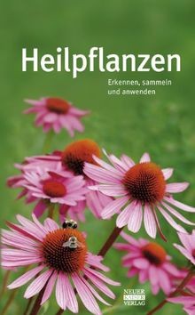 Heilpflanzen erkennen - heilpflanzen:,