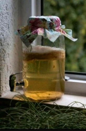 Jun kombucha teepilz kein - teepilz, (kein